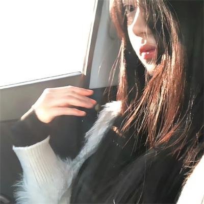 金装四大才子国语